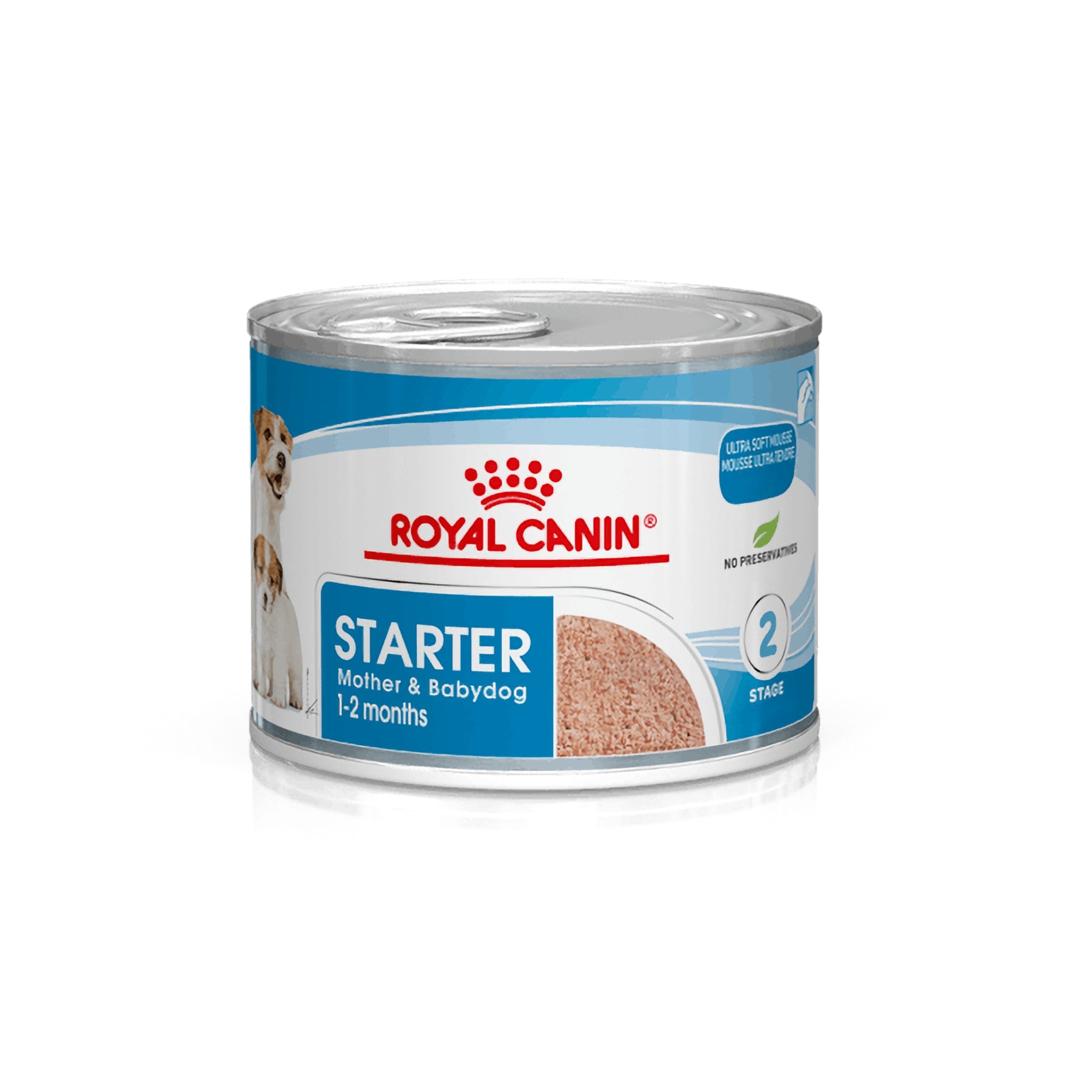 Royal Canin Starter Mousse Best Puppy Food for Weaning Puppies