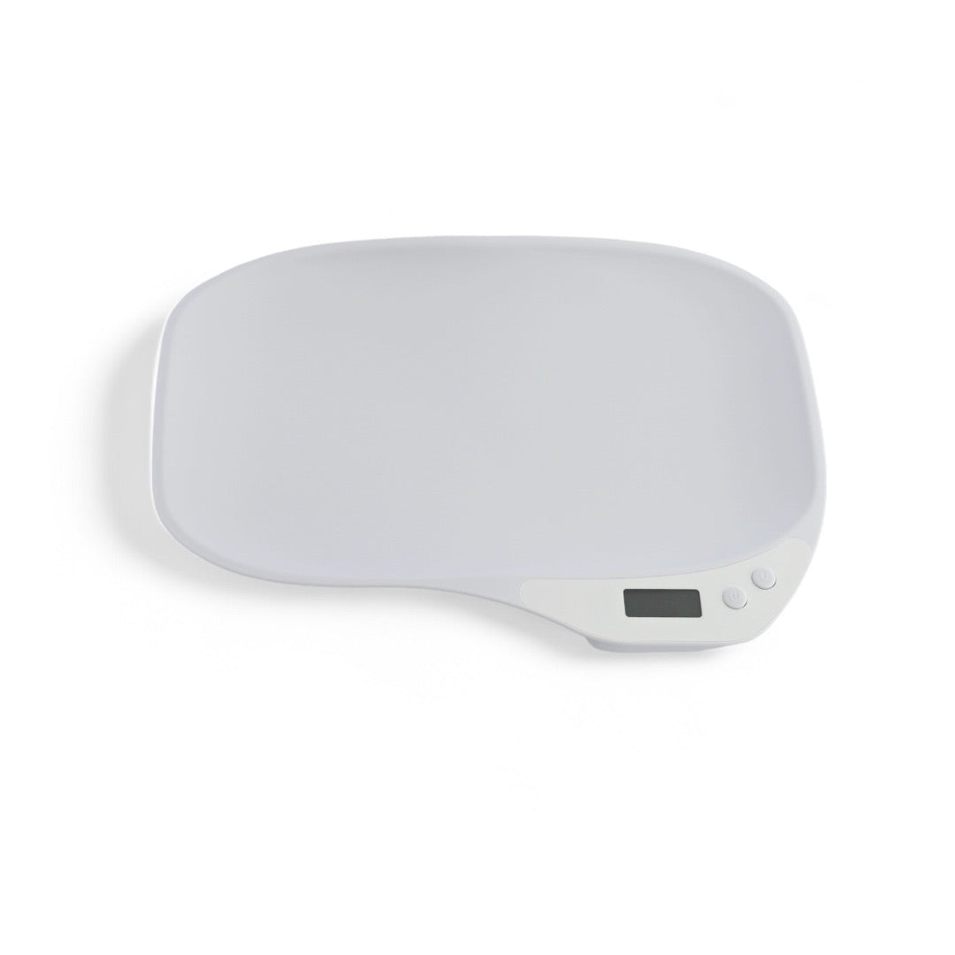 Large Tray Scales – Whelping Supplies