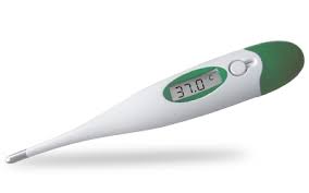 Digital Thermometer Rapid 10 second read