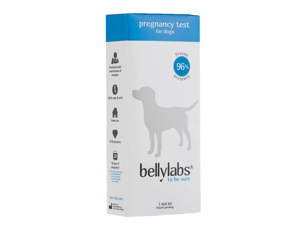 Bellylabs canine pregnancy test