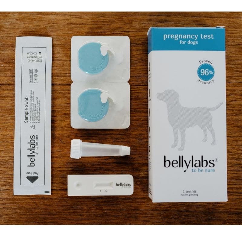 Can You Use a Pregnancy Test on a Dog? Find Out Now!