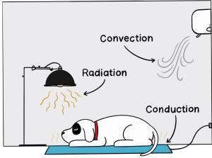 This image compares and explains the different types of heating; convection, radiation and conduction.