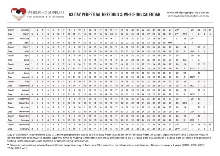 63 Day Perpetual Breeding & Whelping Calendar Whelping Supplies